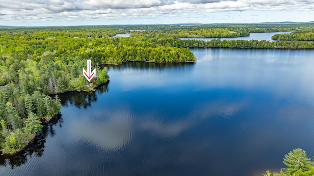 18 Breezy Knoll Dr, Princeton, ME 04668 - drone / aerial view of a forest and a large body of water