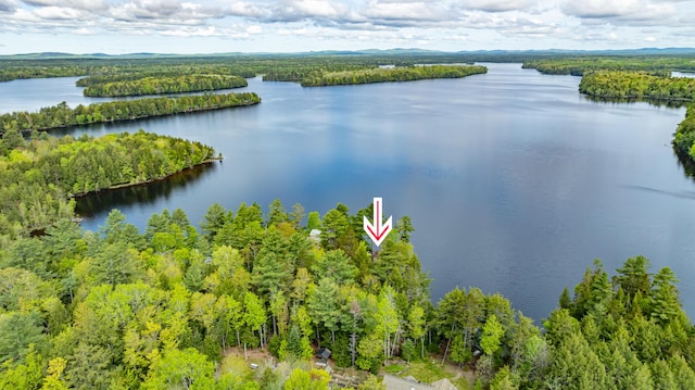 18 Breezy Knoll Dr, Princeton, ME 04668 - bird's eye view of a nearby body of water and a heavily wooded area