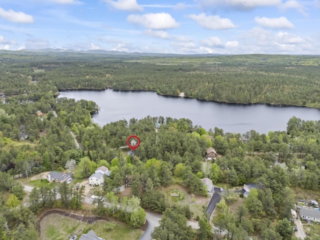 301 Pine Springs Rd, Shapleigh, ME 04076 - aerial overview of property's location with a forest and a large body of water
