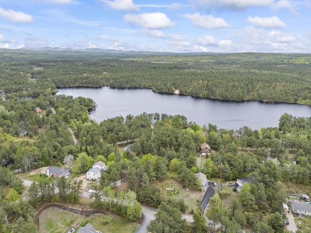 301 Pine Springs Rd, Shapleigh, ME 04076 - aerial overview of property's location featuring a heavily wooded area and a large body of water