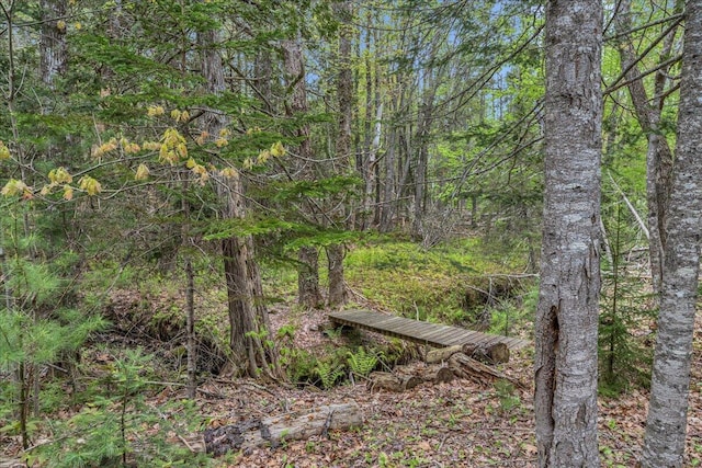 101 Parker Point Rd, Blue Hill, ME 04614 - photo 67