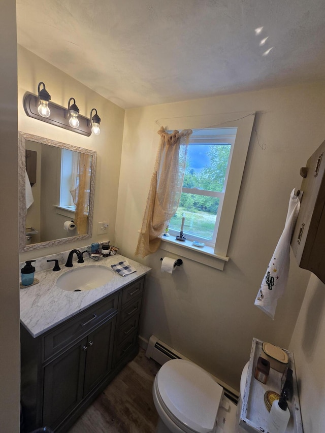 13 Bishop Farm Rd, Brownfield, ME 04010 - bathroom featuring baseboard heating, toilet, wood finished floors, and vanity