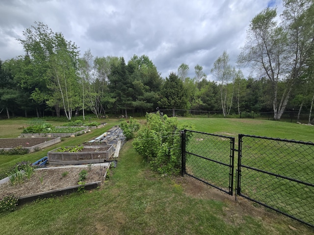 13 Bishop Farm Rd, Brownfield, ME 04010 - view of yard with a gate, a garden, and a forest view