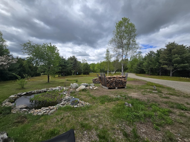 13 Bishop Farm Rd, Brownfield, ME 04010 - view of green lawn featuring a forest view