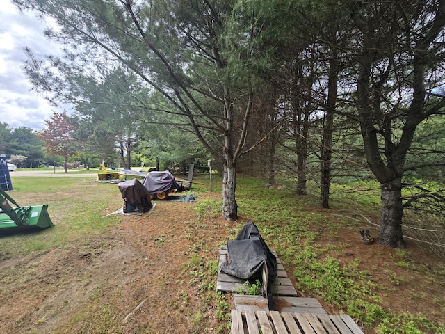 13 Bishop Farm Rd, Brownfield, ME 04010 - view of yard