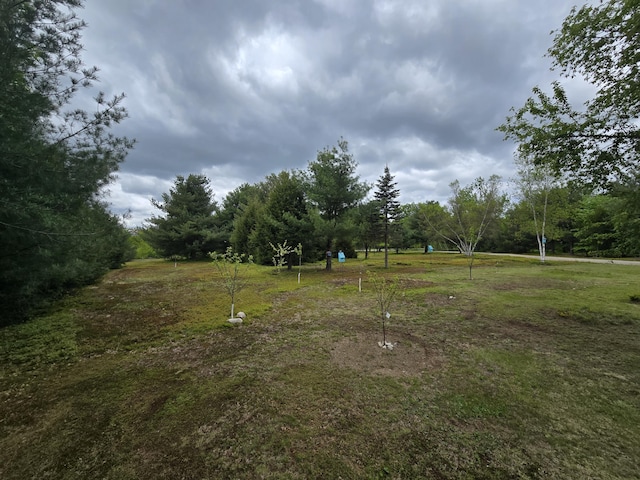 13 Bishop Farm Rd, Brownfield, ME 04010 - view of grassy yard