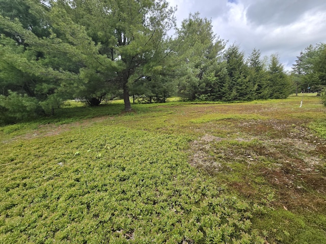 13 Bishop Farm Rd, Brownfield, ME 04010 - view of yard