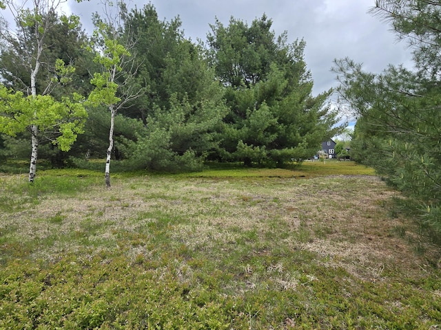 13 Bishop Farm Rd, Brownfield, ME 04010 - view of yard