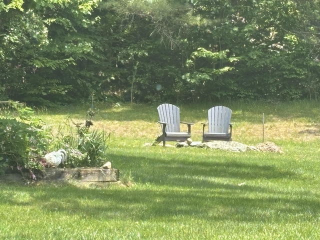 270 Mccrillis Corner Rd, Wilton, ME 04294 - view of yard