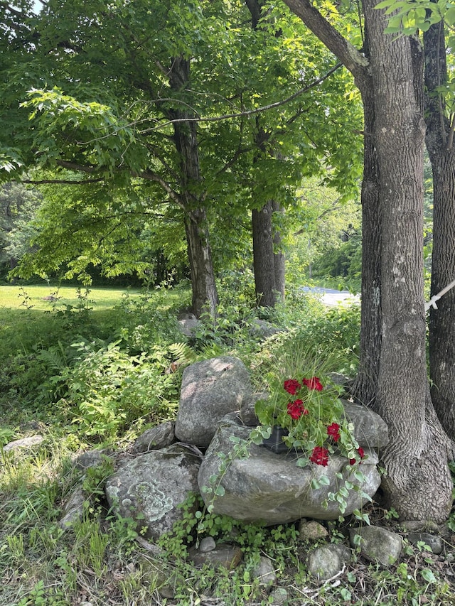 270 Mccrillis Corner Rd, Wilton, ME 04294 - view of yard