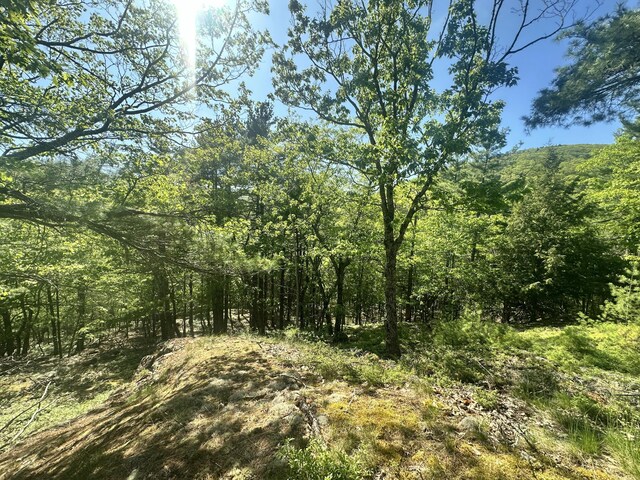 LOT1 Oak Ridge Ln, Camden, ME 04843