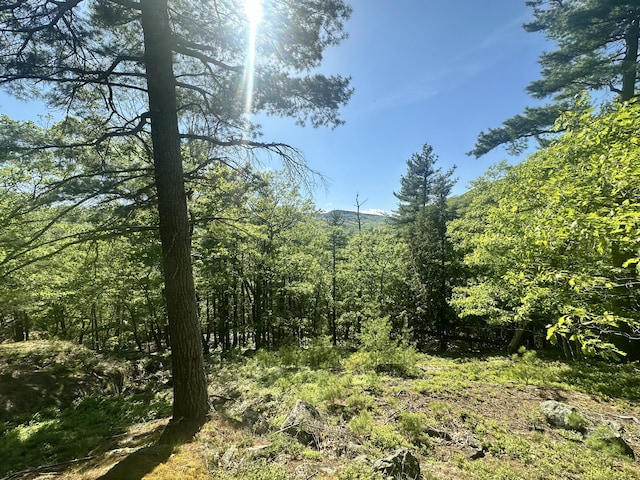 LOT1 Oak Ridge Ln, Camden, ME 04843