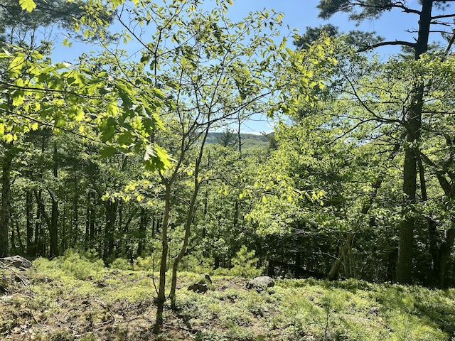 LOT1 Oak Ridge Ln, Camden, ME 04843
