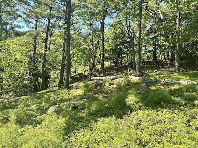 LOT1 Oak Ridge Ln, Camden, ME 04843