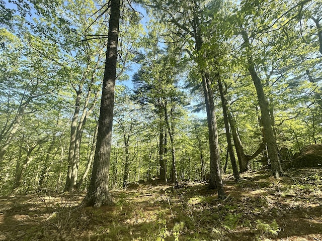 LOT1 Oak Ridge Ln, Camden, ME 04843