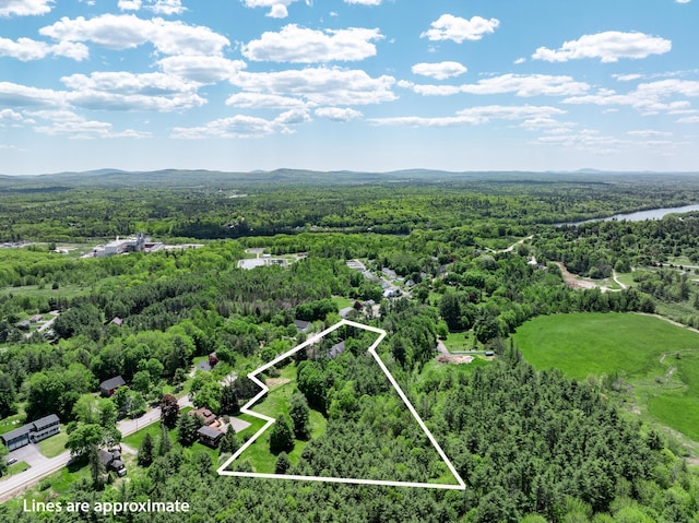 1290 State St, Veazie, ME 04401 - photo 47