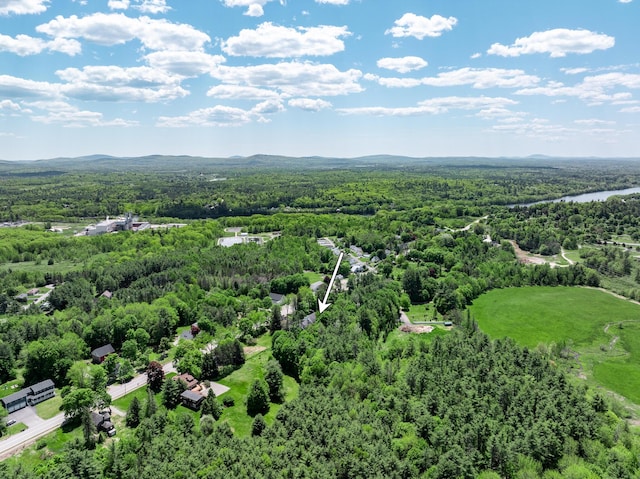 1290 State St, Veazie, ME 04401 - photo 51