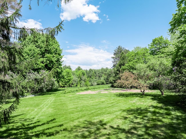 1290 State St, Veazie, ME 04401 - photo 54