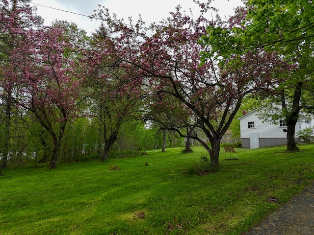 90 W Main St, Milo, ME 04463 - view of green lawn