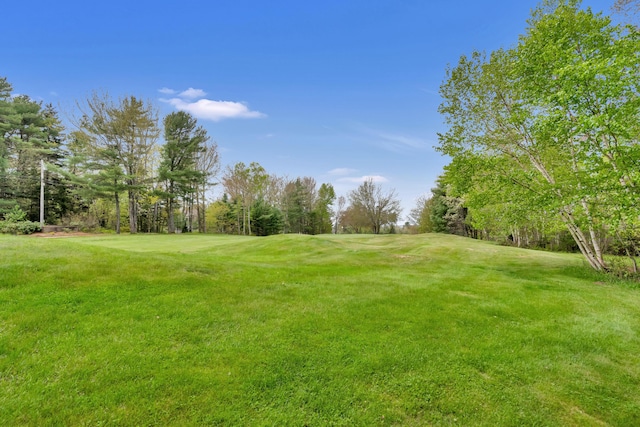 2 Round Cove Ln Unit 2, Phippsburg, ME 04562 - view of green lawn