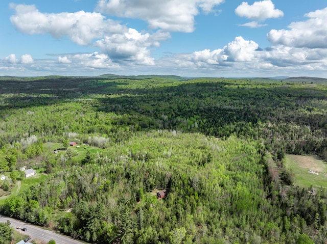 639 Main St, Springfield, ME 04487 - bird's eye view of a heavily wooded area