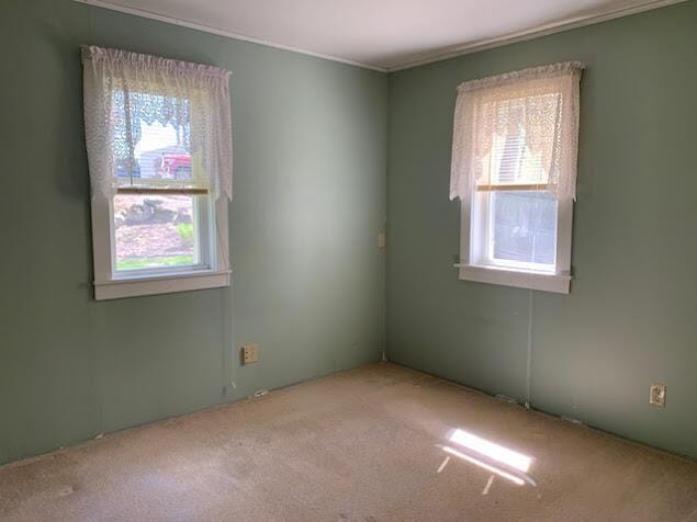 38 Cove Ln, Union, ME 04862 - unfurnished room featuring carpet flooring and crown molding