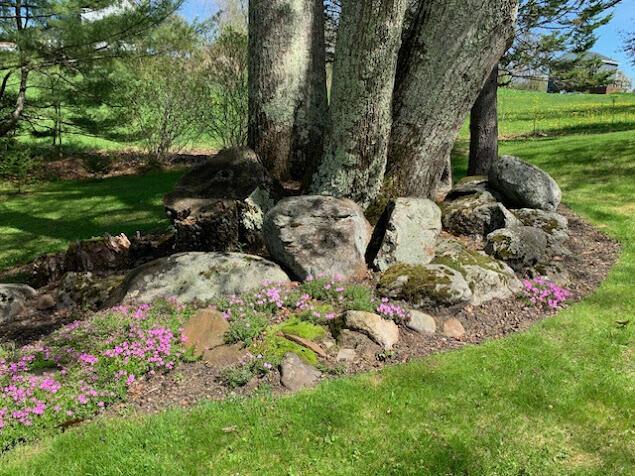 38 Cove Ln, Union, ME 04862 - view of local wilderness