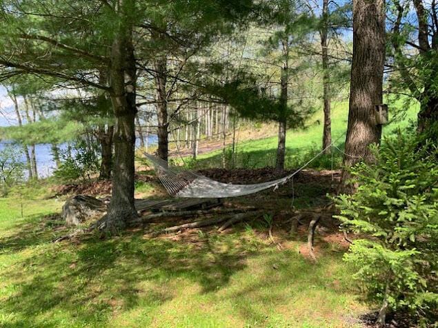 38 Cove Ln, Union, ME 04862 - view of nature