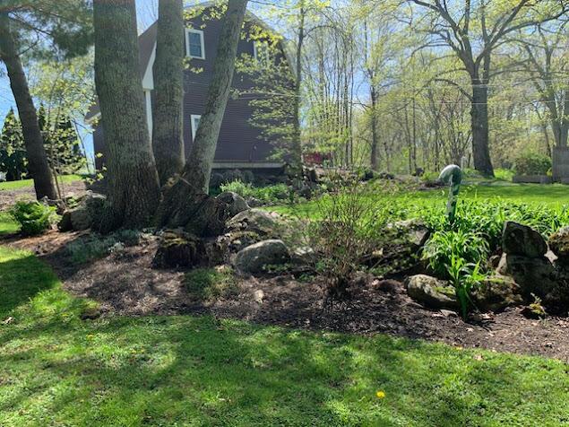 38 Cove Ln, Union, ME 04862 - view of green lawn