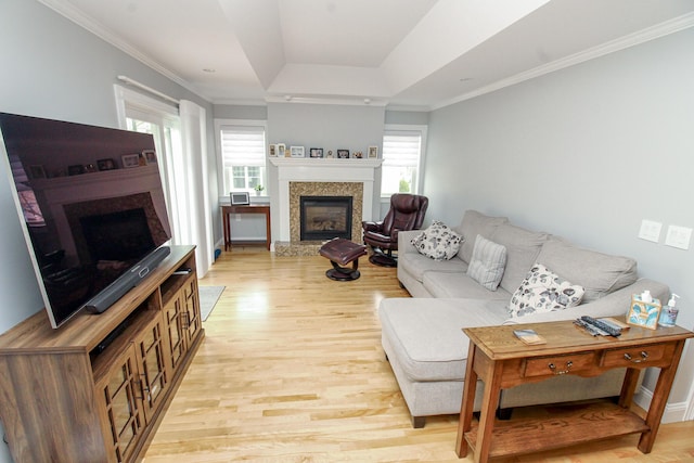 9 Camden Ct Unit 9, Bangor, ME 04401 - living area featuring a glass covered fireplace, light wood-style floors, a raised ceiling, and crown molding