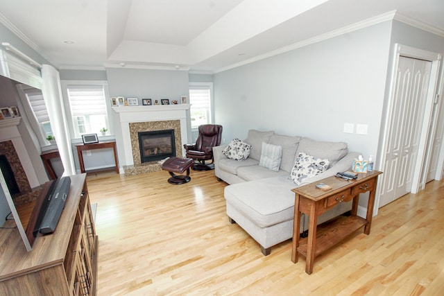 9 Camden Ct Unit 9, Bangor, ME 04401 - living room with a fireplace, light wood-type flooring, and crown molding