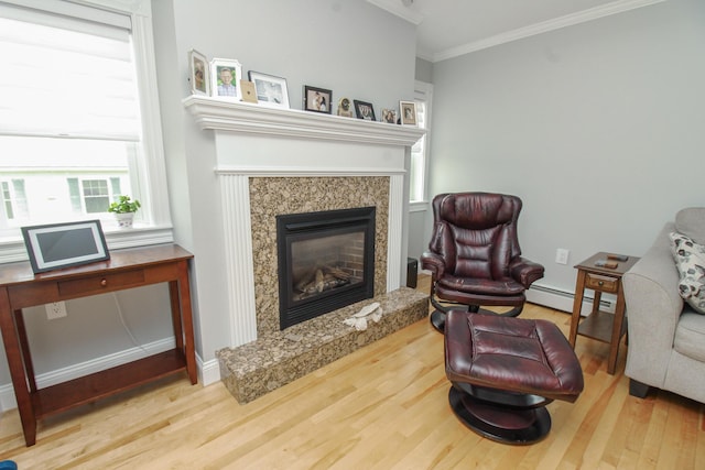 9 Camden Ct Unit 9, Bangor, ME 04401 - sitting room featuring baseboard heating, wood finished floors, a high end fireplace, crown molding, and baseboards