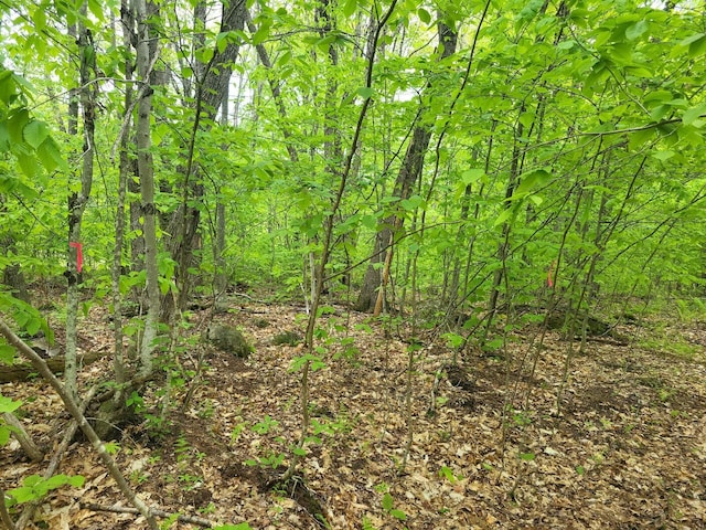 251 Fish St, Fryeburg, ME 04037 - photo 15