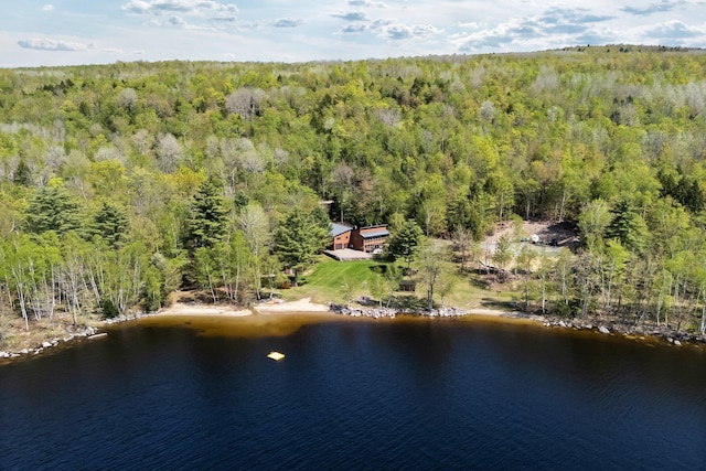 36 Sunset Dr, Saint Albans, ME 04971 - drone / aerial view of a heavily wooded area and a large body of water
