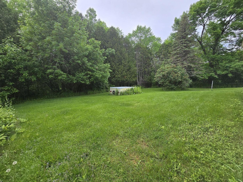 1132 College Ave, Old Town, ME 04468 - view of green lawn featuring a view of trees