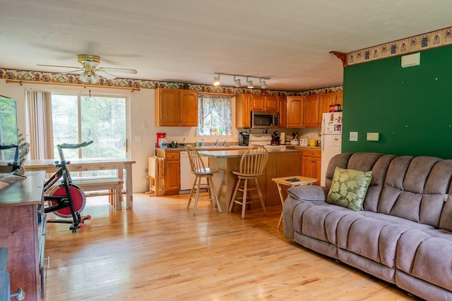 17 Easy St, Standish, ME 04084 - living area with ceiling fan, light wood-style floors, and rail lighting