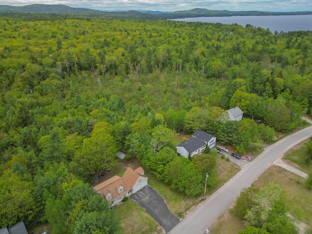 17 Easy St, Standish, ME 04084 - aerial view of property and surrounding area with a heavily wooded area and a large body of water