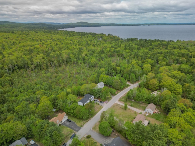 17 Easy St, Standish, ME 04084 - aerial overview of property's location featuring a heavily wooded area and a nearby body of water