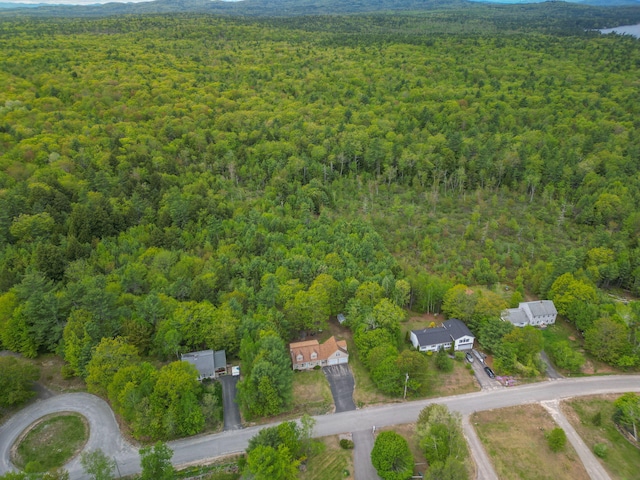 17 Easy St, Standish, ME 04084 - aerial view of property's location with a forest
