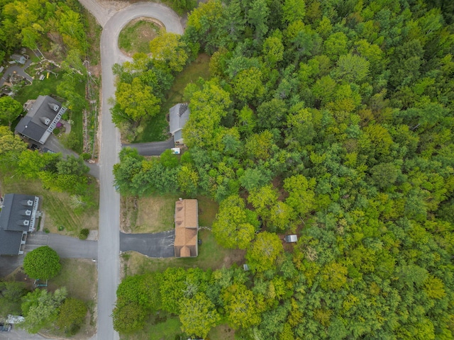 17 Easy St, Standish, ME 04084 - aerial view of property's location