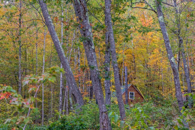859 Maine St, Stoneham, ME 04231 - photo 59