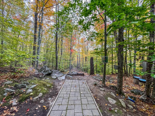 859 Maine St, Stoneham, ME 04231 - photo 84