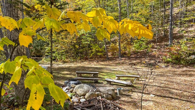 859 Maine St, Stoneham, ME 04231 - photo 85