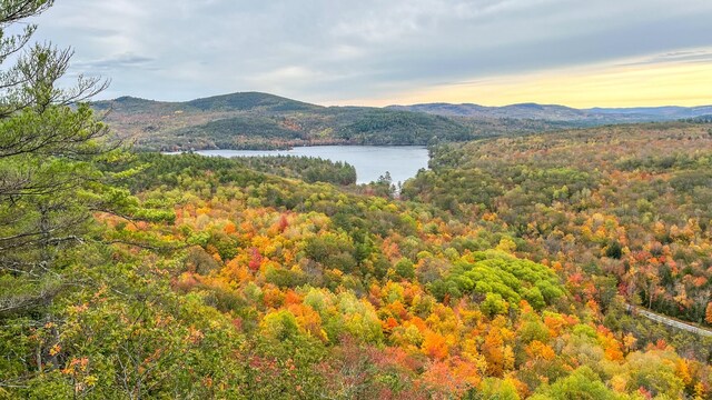 859 Maine St, Stoneham, ME 04231 - photo 91