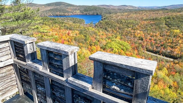 859 Maine St, Stoneham, ME 04231 - photo 97
