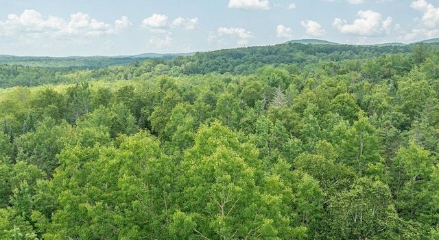 13 N Long Swamp Rd, Jackson, ME 04921