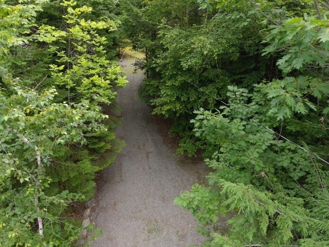 251 Halls Bridge Rd, Canaan, ME 04924 - photo 61