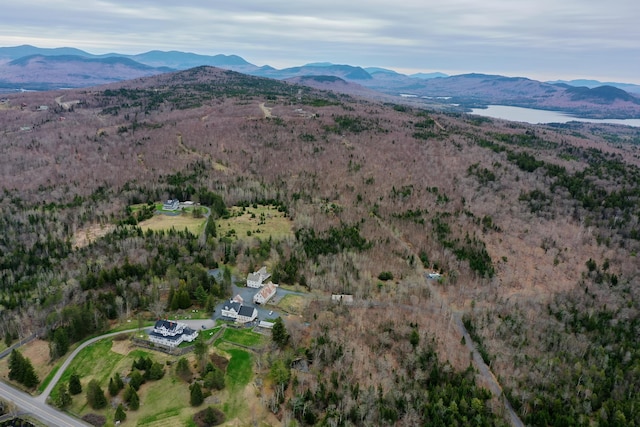 LOT10 Blair Hill Rd, Greenville, ME 04441 - photo 3