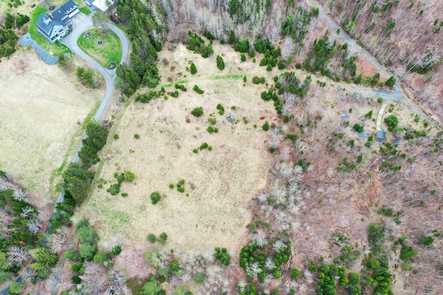 LOT10 Blair Hill Rd, Greenville, ME 04441 - photo 5