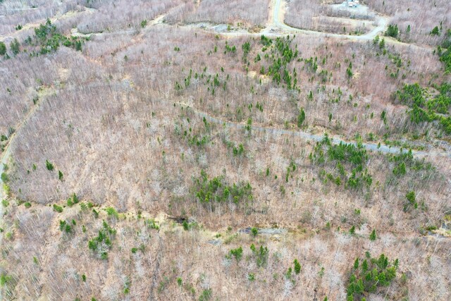 LOT10 Blair Hill Rd, Greenville, ME 04441 - photo 7